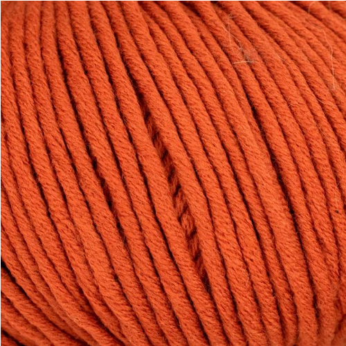 Online Montego Linie 55